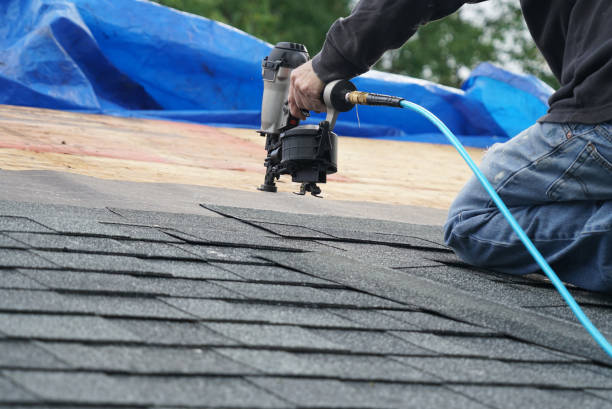 Best Storm Damage Roof Repair  in Frenchtown, NJ